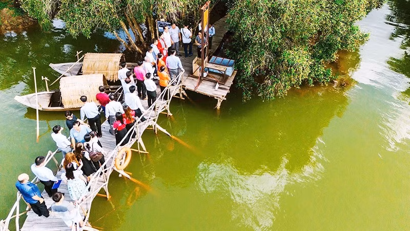 Tìm ký ức xưa giữa rừng tràm