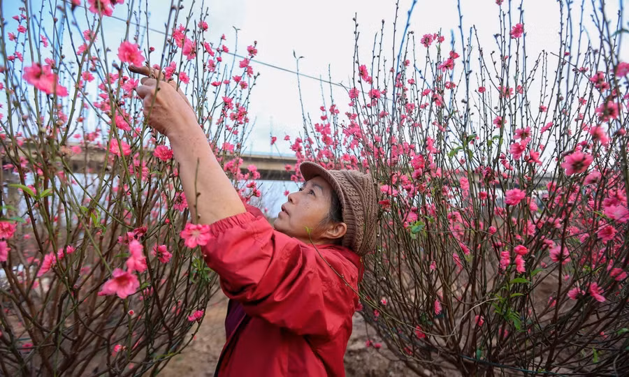 Bộ Nội vụ đề xuất trong dịp Tết Nguyên đán năm 2026, công chức, viên chức sẽ được nghỉ 9 ngày.