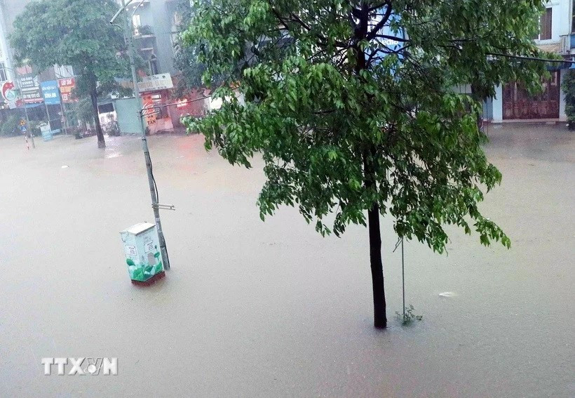 Ảnh minh họa. (Ảnh: Trần Trang/TTXVN) bacbomualon.jpg