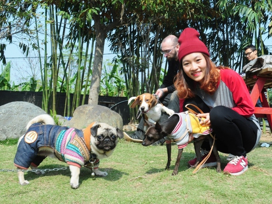 Trải nghiệm với thú cưng ở bãi đá sông Hồng. (Ảnh: PV/ Vietnam+) Trải nghiệm với thú cưng ở bãi đá sông Hồng. (Ảnh: PV/ Vietnam+)