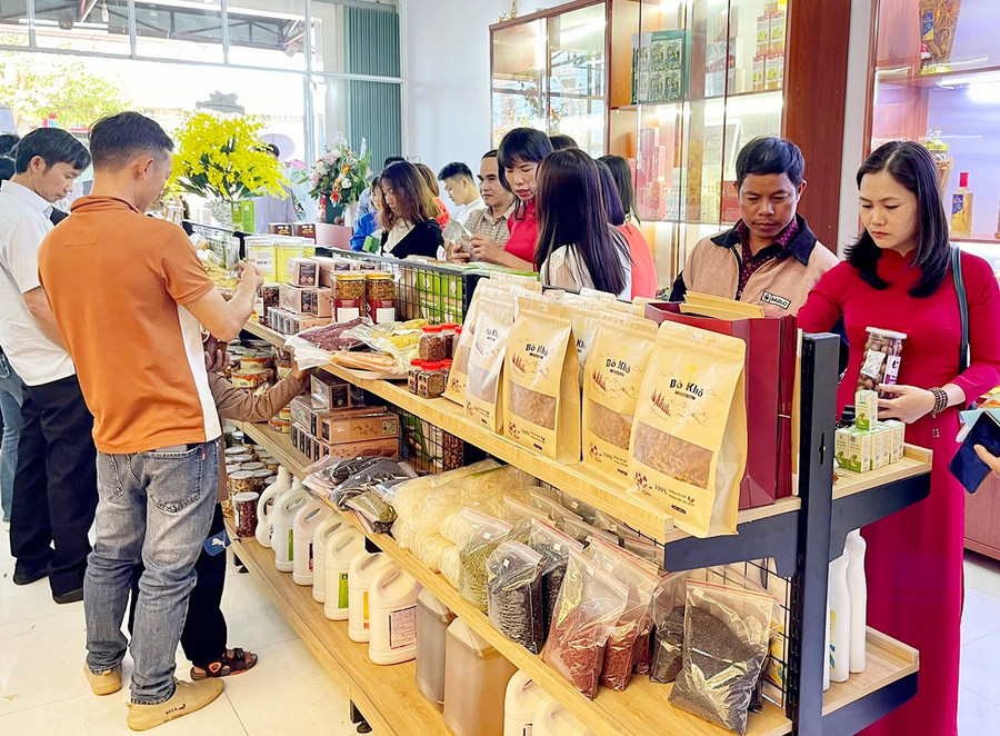 Sản phẩm OCOP Gia Lai được người tiêu dùng đánh giá cao về chất lượng và mẫu mã khi tham gia các sàn thương mại điện tử. Ảnh: N.D 00.jpg