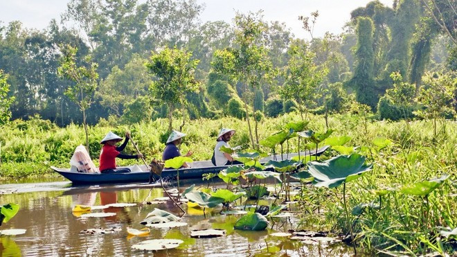 Khách du lịch quốc tế tham quan rừng tràm Trà Sư (thị xã Tịnh Biên, tỉnh An Giang). (Ảnh: Thanh Sang/TTXVN) Khách du lịch quốc tế tham quan rừng tràm Trà Sư (thị xã Tịnh Biên, tỉnh An Giang). (Ảnh: Thanh Sang/TTXVN)