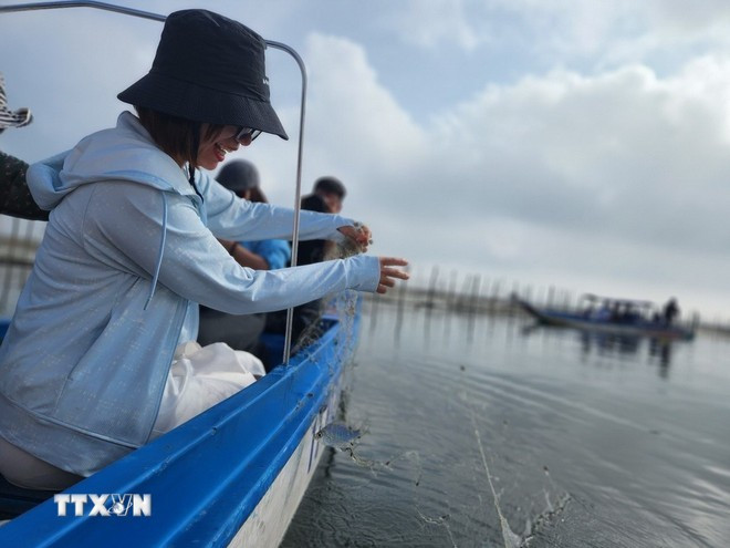 Du khách trải nghiệm thả lưới bắt cá vùng nước lợ Đầm Chuồn. (Ảnh: Mai Trang/TTXVN) Du khách trải nghiệm thả lưới bắt cá vùng nước lợ Đầm Chuồn. (Ảnh: Mai Trang/TTXVN)