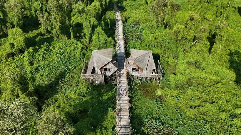 Khu du lịch rừng tràm Trà Sư (thị xã Tịnh Biên, tỉnh An Giang) điểm đến yêu thích của khách du lịch trong và ngoài nước. (Ảnh: Thanh Sang/TTXVN) dl.jpg