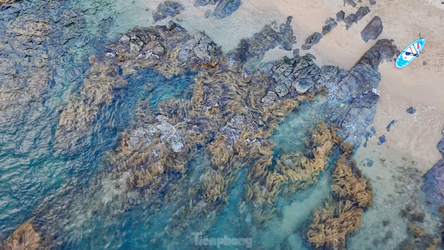 Dọc bãi biển dài hơn 2km là hàng nghìn tảng đá lớn nhỏ với đủ hình dáng, ôm bọc lấy bãi đá là cây cối um tùm xanh mướt.