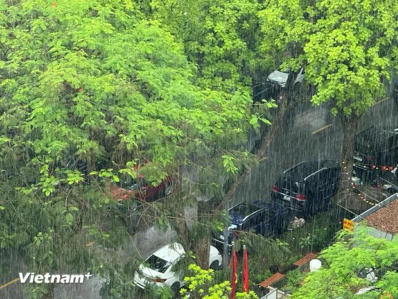 Hà Nội sáng sớm và đêm có mưa. Nguồn: Vietnam+ thoitietdd.jpg
