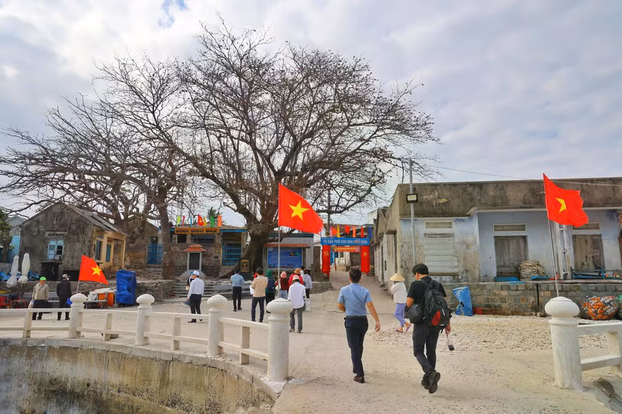 Du khách tham quan Bích Đầm. Phía xa xa là di tích lịch sử đình Bích Đầm và cây bàng khoảng 150 năm tuổi được công nhận là cây di sản Việt Nam. ẢNH: BÁ DUY