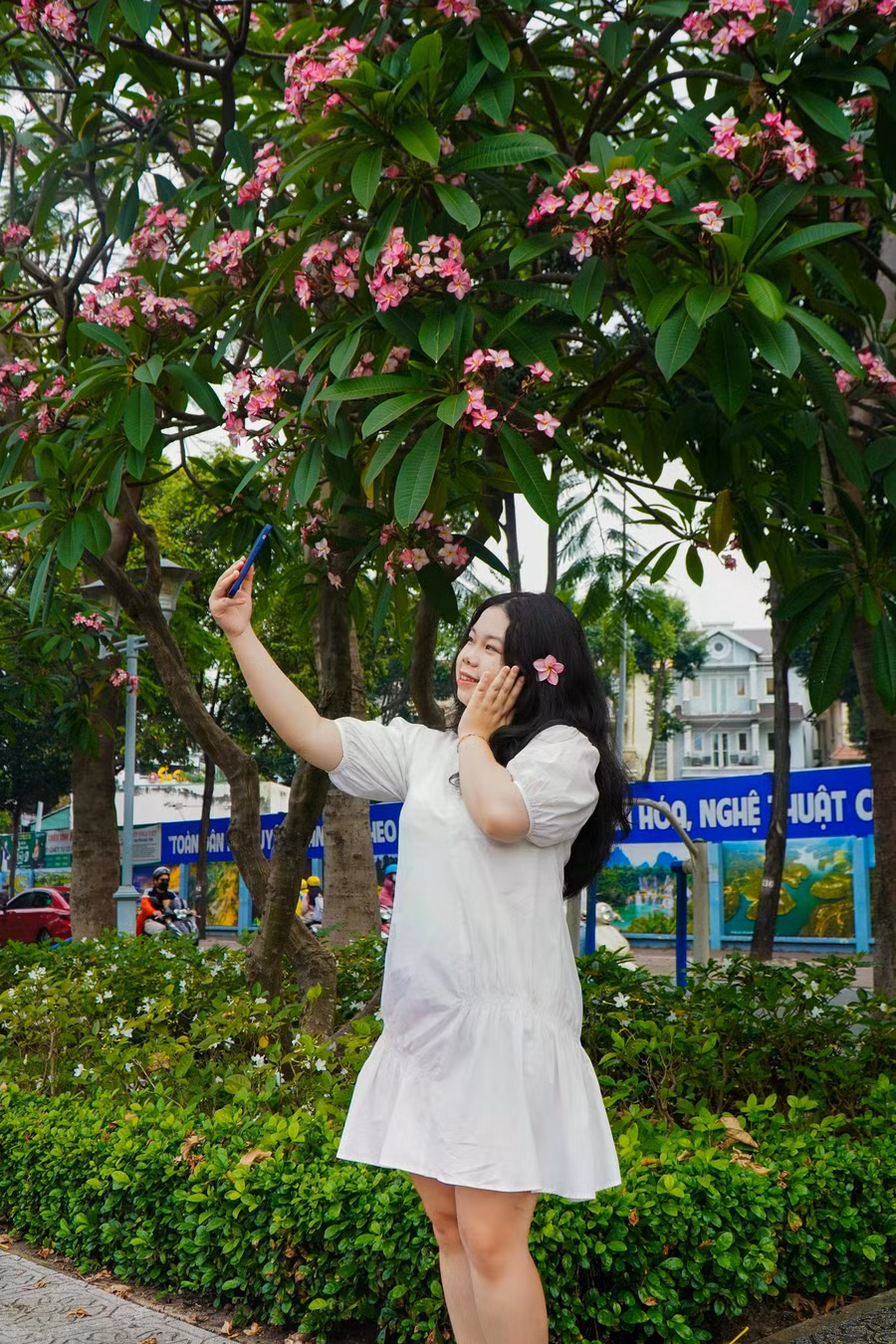 Bạn trẻ đi dạo, check-in tại con đường hoa sứ. ẢNH: PHAN HƯƠNG