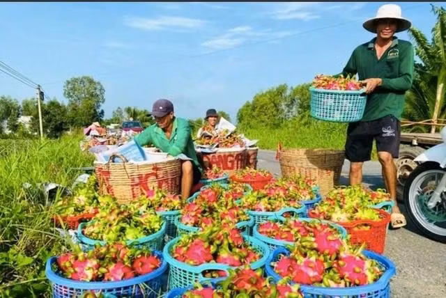 Các quốc gia, vùng lãnh thổ ngày càng gia tăng các biện pháp an toàn thực phẩm và an toàn dịch bệnh động thực vật đối với nông sản thực phẩm và thủy sản nhập khẩu. ẢNH: TN