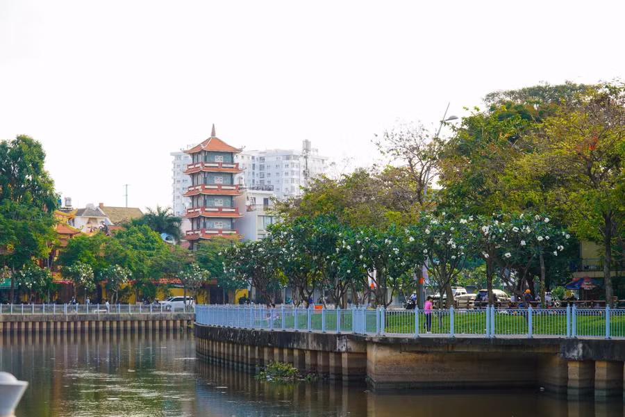 Hoa sứ hồng, trắng, vàng được trồng xen kẽ hai bên bờ kênh cùng với sắc tím của bằng lăng khiến nơi đây càng trở nên thơ mộng. ẢNH: PHAN HƯƠNG