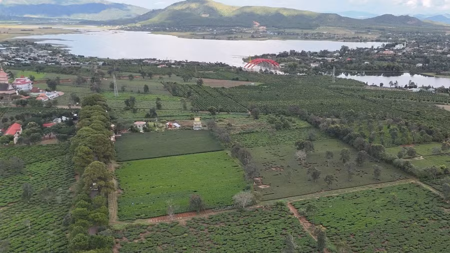 Biển hồ chè, một trong những địa điểm du lịch nổi tiếng của Gia Lai. Ảnh: Hoài Nam/TTXVN