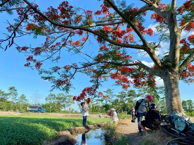 Buổi chiều mát, nhiều người tìm đến đây để chụp ảnh, quay video. ẢNH: THẢO PHƯƠNG Buổi chiều mát, nhiều người tìm đến đây để chụp ảnh, quay video. ẢNH: THẢO PHƯƠNG