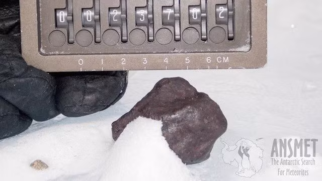 Thiên thạch Nam Cực được tìm thấy vào năm 2012 theo chương trình quốc tế ANSMET - Ảnh: ANSMET