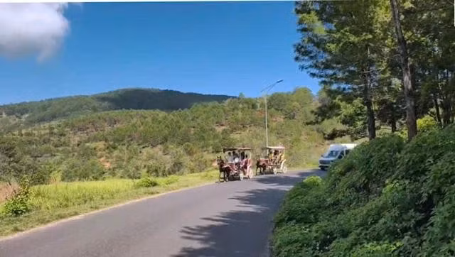 Xe ngựa chở du khách tham quan KDL hồ Tuyền Lâm nhưng lại bị cấm. ẢNH: LÂM VIÊN