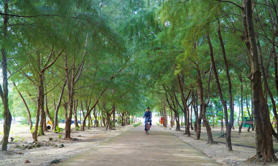 Hàng phi lao xanh trải dài ôm lấy đảo Đá Tây A. Ảnh: DN truong-sa.jpg