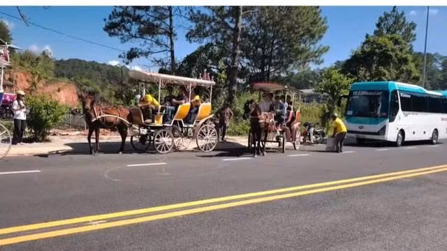 Ngày 9.5 Ban quản lý KDL hồ Tuyền Lâm yêu cầu các hộ kinh doanh xe ngựa chở du khách ngừng hoạt động. ẢNH: LÂM VIÊN