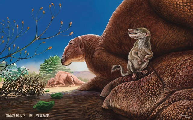 Ravjaa ishiii quái dị và bé nhỏ được mô tả đang ngồi trên chân của loài khủng long hadrosaurid Gobihadros khổng lồ ở sa mạc Gobi - Ảnh: Kohei Futaka. Ravjaa ishiii quái dị và bé nhỏ được mô tả đang ngồi trên chân của loài khủng long hadrosaurid Gobihadros khổng lồ ở sa mạc Gobi - Ảnh: Kohei Futaka.