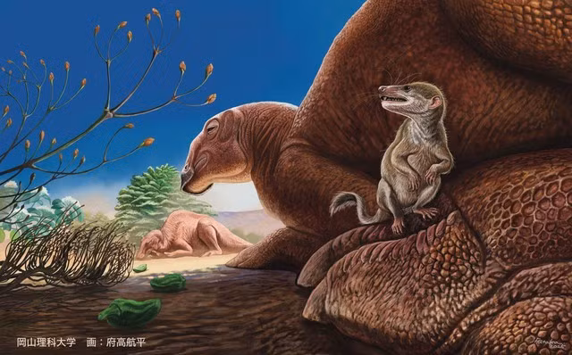 Ravjaa ishiii quái dị và bé nhỏ được mô tả đang ngồi trên chân của loài khủng long hadrosaurid Gobihadros khổng lồ ở sa mạc Gobi - Ảnh: Kohei Futaka.