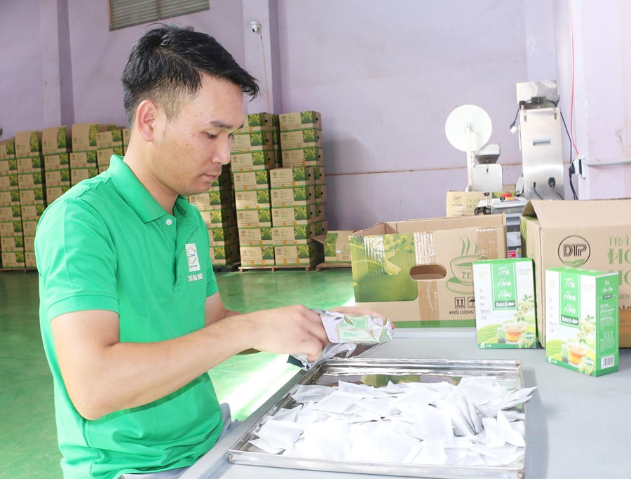 Anh Đào Tiến Tĩnh-Giám đốc kinh doanh Công ty TNHH Đào Tiến Phát Farm (tổ 8, thị trấn Chư Sê) đóng gói sản phẩm trà hoa hòe. Ảnh: Q.T 1t.jpg