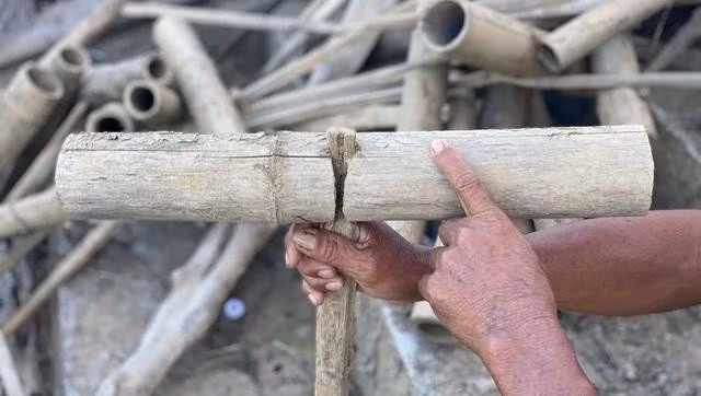 Ống tre dài khoảng 60 - 70 cm được cắt hai đầu làm bẫy cá bống. ẢNH: HẢI PHONG