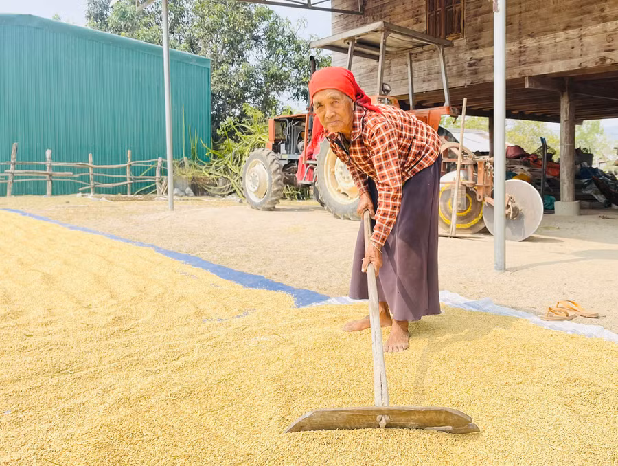 Bà Nay H’Jah (buôn Choanh, xã Uar) phấn khởi vì từ ngày đường Trường Sơn Đông đi qua đã giúp gia đình phát triển sản xuất, nâng cao thu nhập. Ảnh: Nguyên Hương