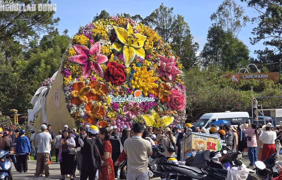 Việc trưng bày bó hoa này tạo nên điểm nhấn thú vị, thu hút rất nhiều người đến tham quan, chụp ảnh trong thời tiết mát mẻ của Đà Lạt.