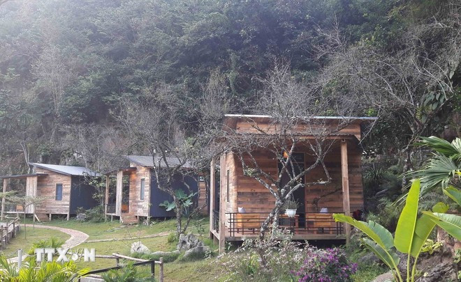 (Ảnh: Nguyễn Cường/TTXVN)