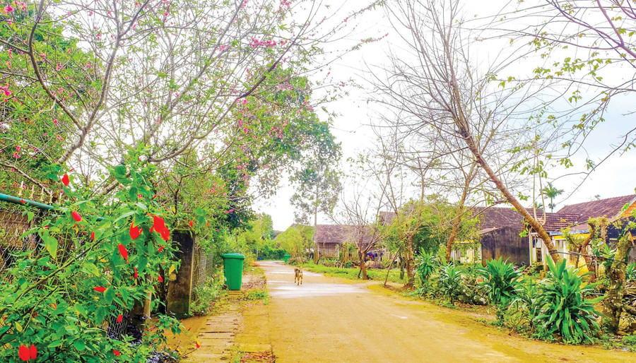 Nét đẹp yên bình ở Vĩnh Sơn. Ảnh: Đoan Ngọc