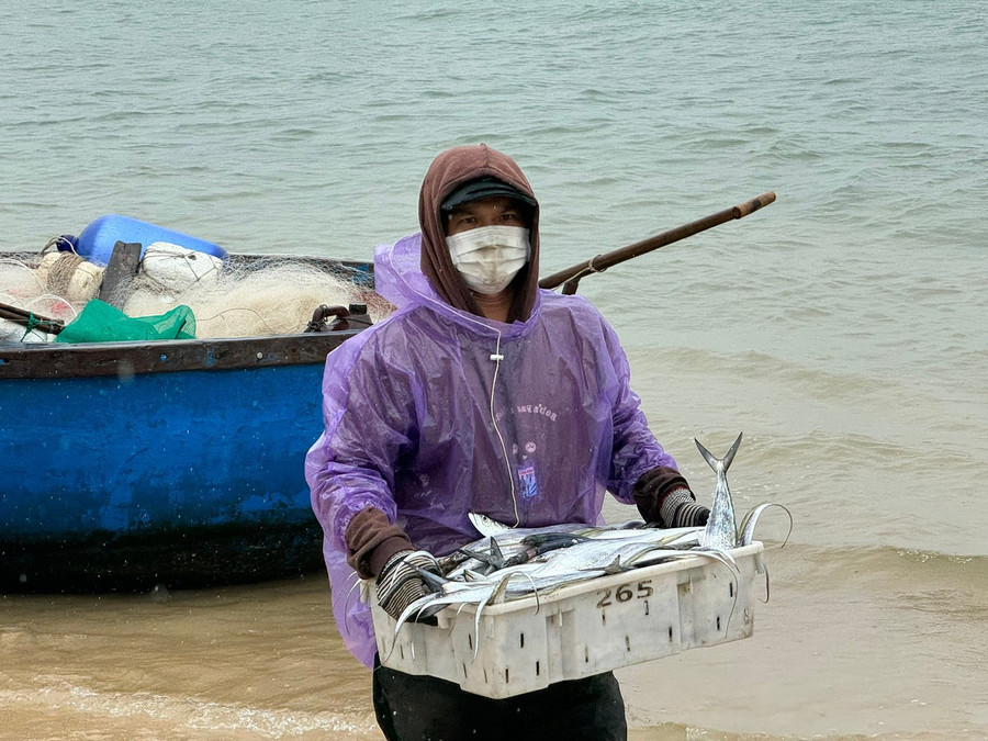 Mùa biển động, ngư dân đánh bắt được nhiều cá nhưng cũng phải đánh đổi rất nhiều rủi ro. Ảnh: Nguyễn Ngọc