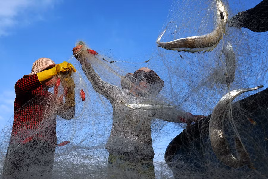 Thả lưới đánh cá ở làng chài ven biển
