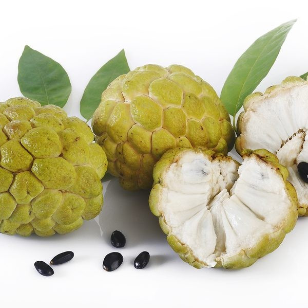 Một trong những lợi ích của mãng cầu ta chưa từng nghe tới là có thể phòng ung thư ngừa đột quỵ. Ảnh: Internet