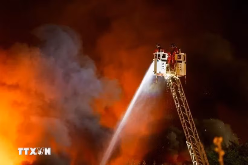 Ảnh minh họa. (Ảnh: REX/TTXVN)