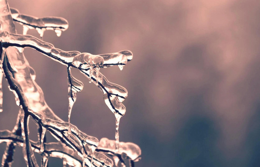 Sau tiết Tiểu hàn là tiết Đại hàn, một đợt lạnh giá khắc nghiệt hơn nữa