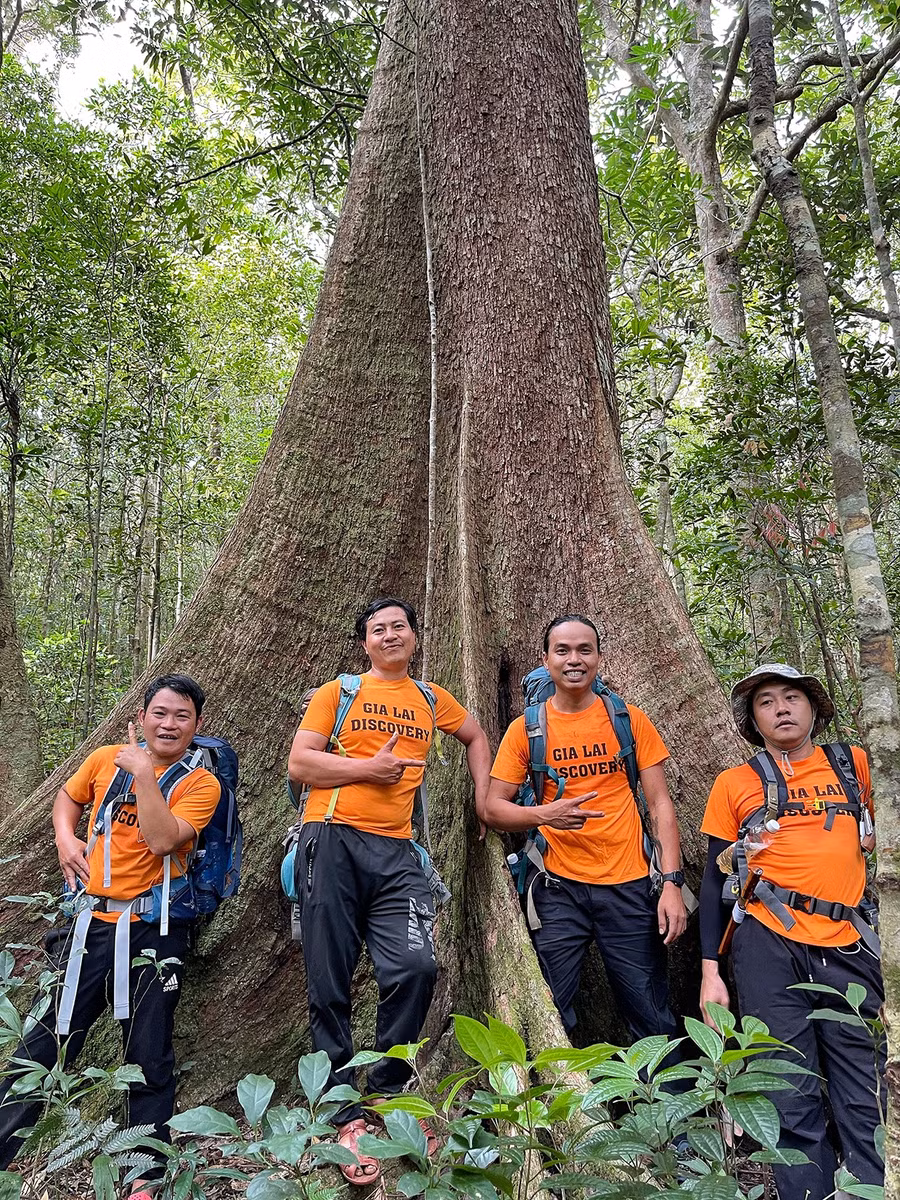 Cao nguyên Kon Hà Nừng được định vị như một trụ cột trong chiến lược phát triển du lịch xanh của Gia Lai. Ảnh: Hoàng Ngọc