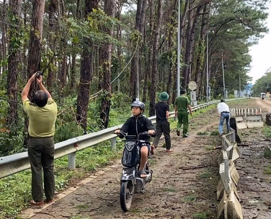 Các đơn vị chủ rừng tiến hành kiểm tra, rà soát những cây thông có nguy cơ ngã đổ dọc Quốc lộ 19, đoạn qua địa bàn xã Hra.