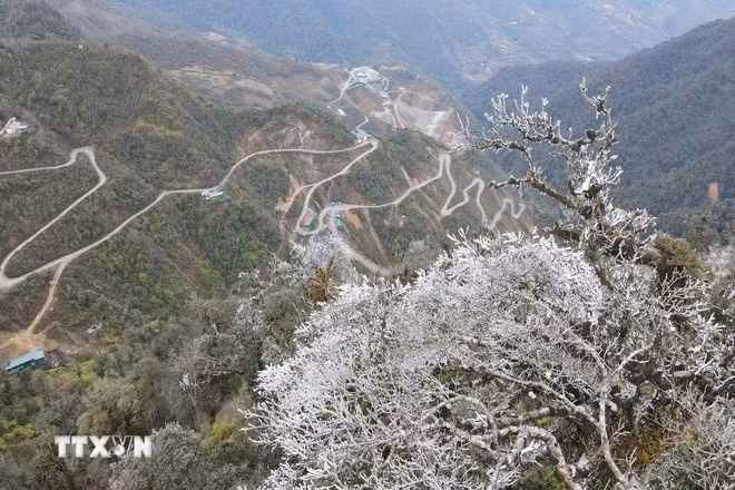 Băng giá xuất hiện từ đêm 26/1 tại các đỉnh Trống Páo Sang, Khau Phạ và Kháu Nha thuộc xã La Pán Tẩn; đỉnh Lùng Cúng thuộc xã Nậm Có, huyện Mù Cang Chải (Yên Bái). (Ảnh: TTXVN phát)