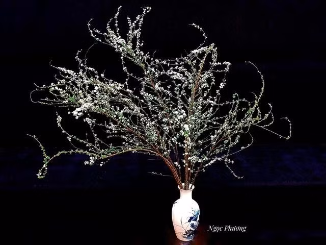 Bình hoa của chị Phương được nhiều người yêu thích. ẢNH: NGỌC PHƯƠNG