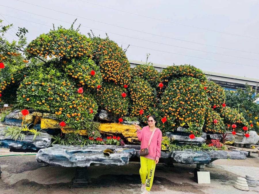 Chậu quýt "siêu to, siêu khổng lồ" đặt tại TT.Văn Giang đã thu hút rất nhiều người đến chụp ảnh check-in. ẢNH: H.P Chậu quýt "siêu to, siêu khổng lồ" đặt tại TT.Văn Giang đã thu hút rất nhiều người đến chụp ảnh check-in. ẢNH: H.P