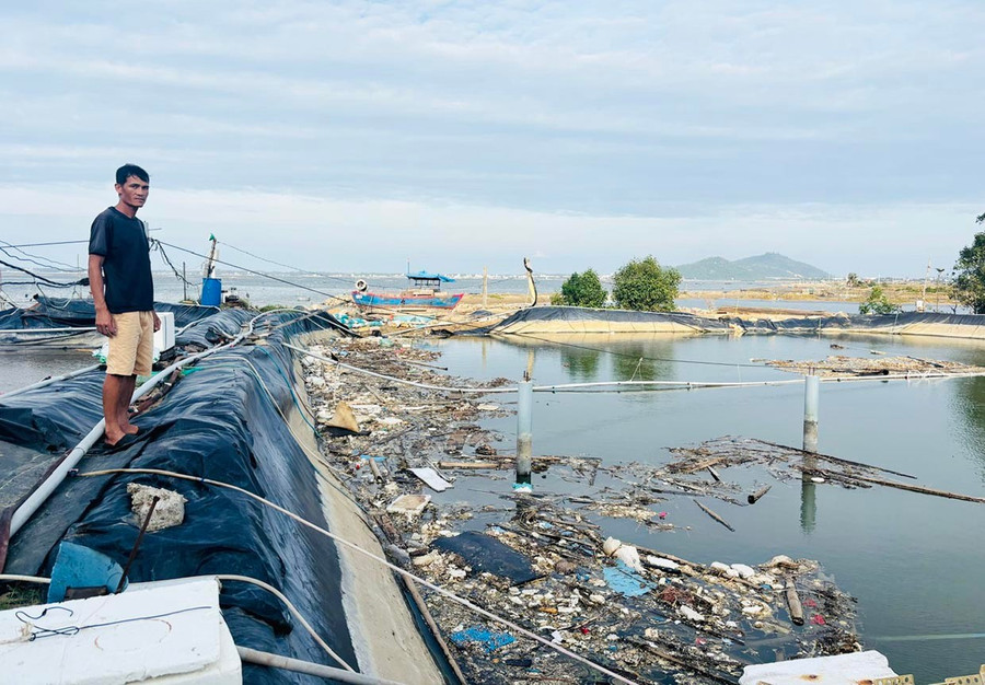 Anh Nguyễn Kim Trọng (thôn Ngãi An, xã Đề Gi) tranh thủ dọn dẹp 3 hồ nuôi tôm bị thiệt hại do bão số 13 và hy vọng Nhà nước hỗ trợ vốn tái sản xuất. Ảnh: H.T