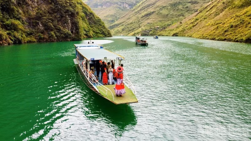 'Check-in' trên dòng Nho Quế biếc xanh.