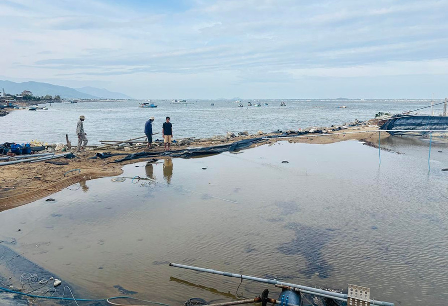 Hơn 166 ha mặt nước nuôi trồng thủy sản của người dân xã Đề Gi bị thiệt hại hoàn toàn sau bão số 13 và triều cường dâng do mưa lũ. Ảnh. H.T