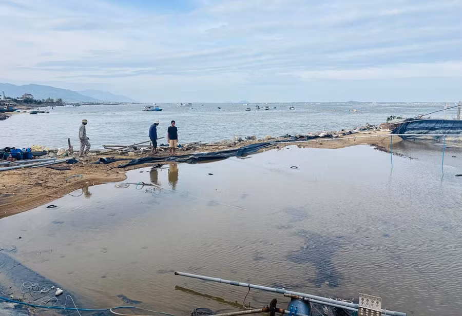 Hơn 166 ha mặt nước nuôi trồng thủy sản của người dân xã Đề Gi bị thiệt hại hoàn toàn sau bão số 13 và triều cường dâng do mưa lũ. Ảnh. H.T