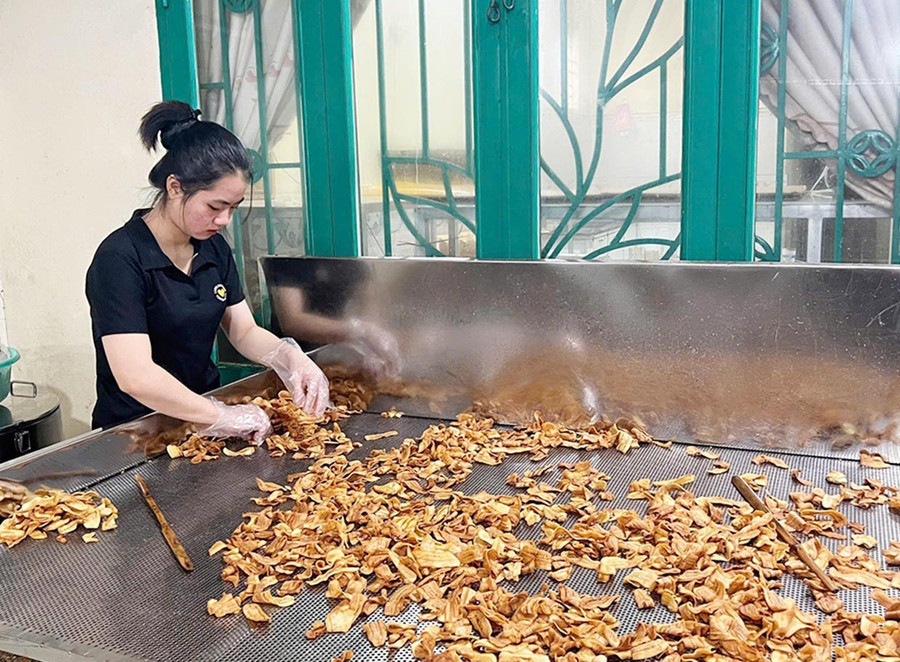 Công đoạn phân loại chuối sau khi chiên tại xưởng sản xuất của Công ty TNHH một thành viên A Lúa. Ảnh ĐVCC