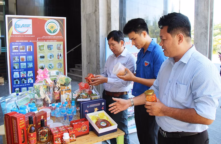 Thông qua các cuộc thi, chương trình tăng tốc và hoạt động kết nối đầu tư, 6 DN gọi vốn thành công, trong đó có Công ty CP Dịch vụ KH&CN Bình Định. Ảnh: T.Lợi