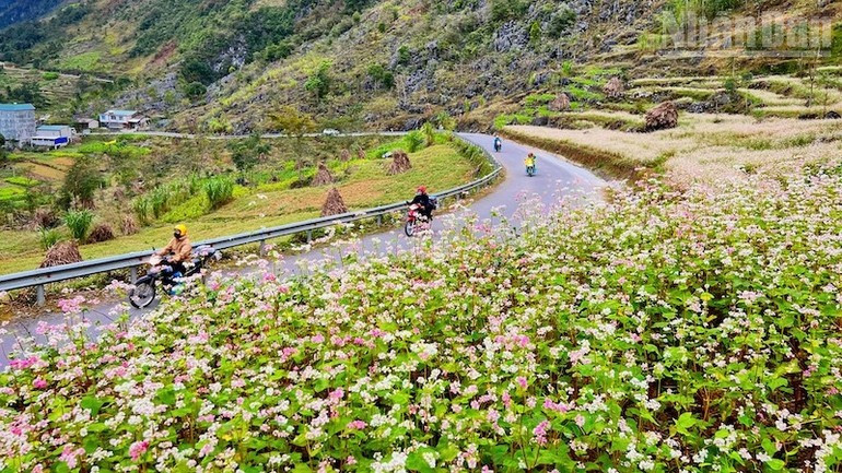 Tháng 11 khô ráo, mát mẻ với các mùa hoa nối tiếp và nhiều lễ hội đặc sắc mời gọi du khách đến với Tuyên Quang.