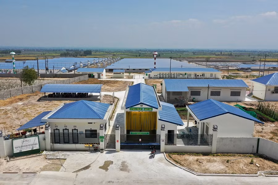 Công ty TNHH Chăn nuôi Nam Sài Gòn (xã Ia Hiao) đã triển khai kế hoạch tái đàn heo theo từng giai đoạn. Ảnh: Lê Nam