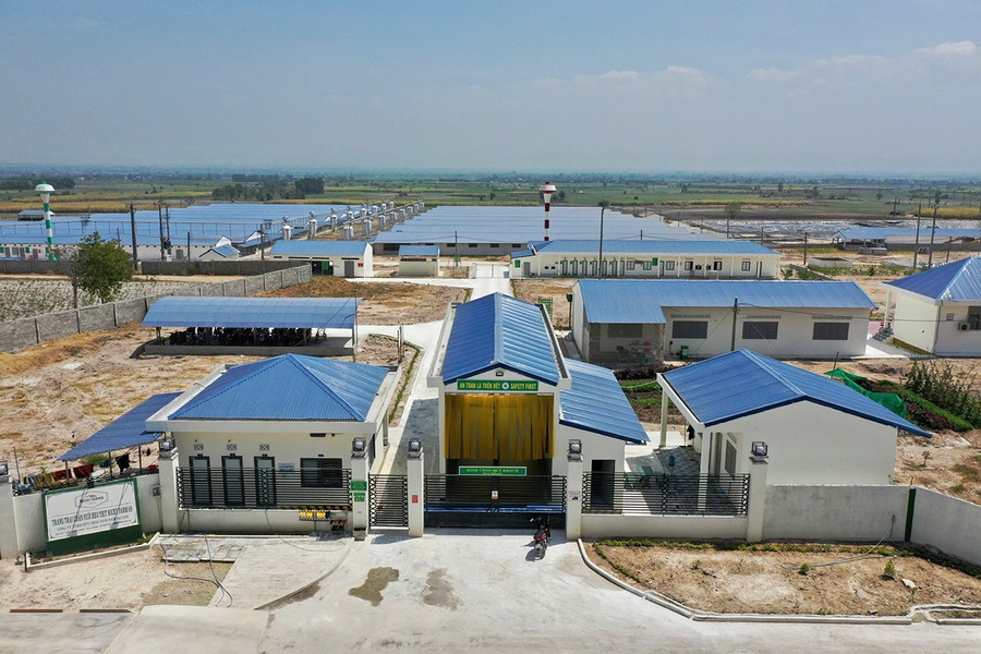 Công ty TNHH Chăn nuôi Nam Sài Gòn (xã Ia Hiao) đã triển khai kế hoạch tái đàn heo theo từng giai đoạn. Ảnh: Lê Nam