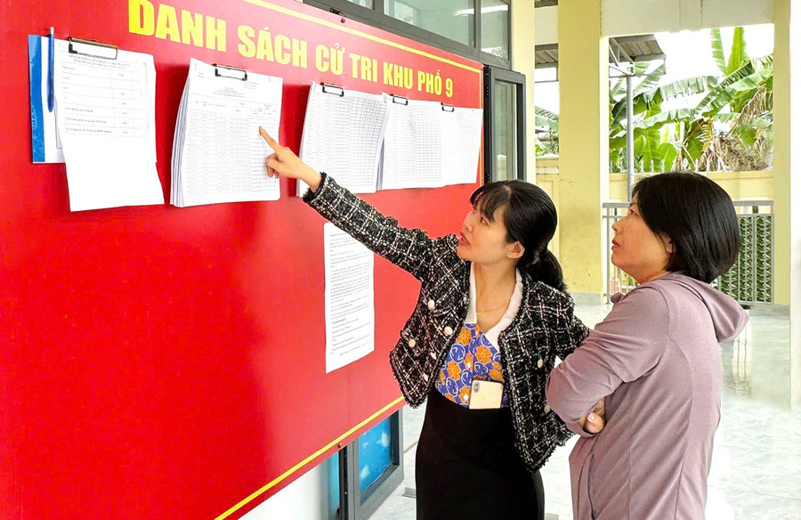 Cử tri ở khu phố 9 (phường Quy Nhơn Bắc) kiểm tra thông tin cử tri trước ngày bầu cử. Ảnh: N.H