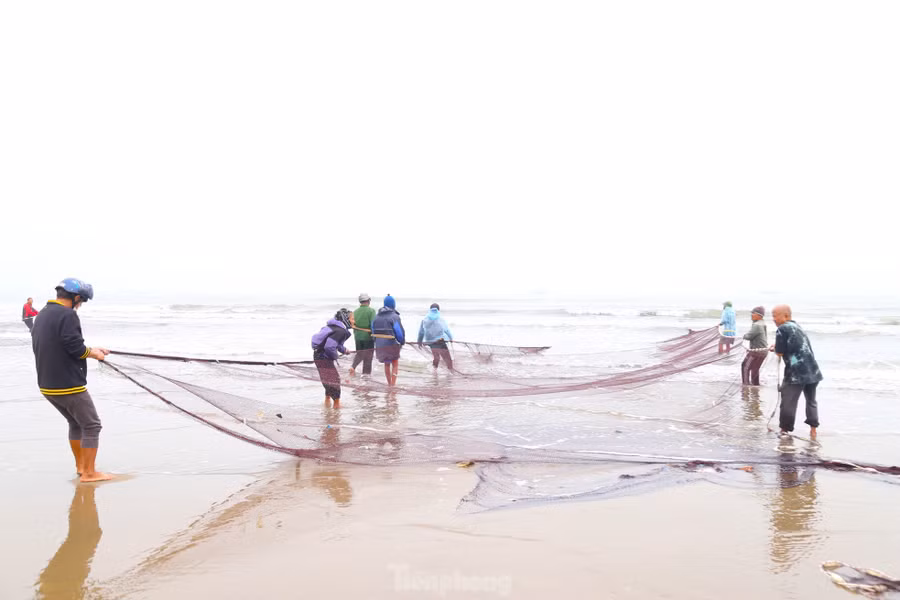 Khi mặt trời lên cao cũng là lúc mẻ lưới đầu tiên được kéo vào bờ. Nhiều du khách tham gia trải nghiệm kéo lưới rùng cùng bà con ngư dân.