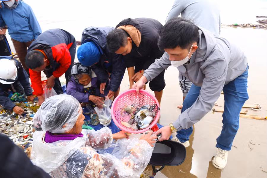 Số hải sản tươi ngon của mẻ lưới rùng được du khách đón mua ngay khi mới vào bờ.